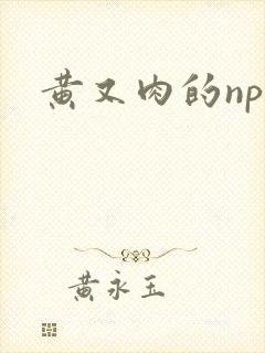 黄又肉的np文