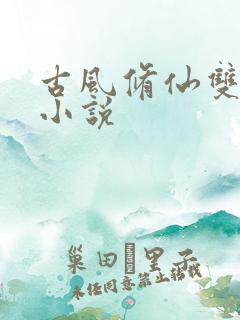 古风修仙双男主小说