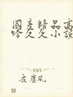 国产精品高潮呻吟久久小说