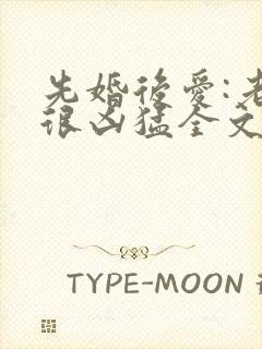 先婚后爱:老公很凶猛全文免费