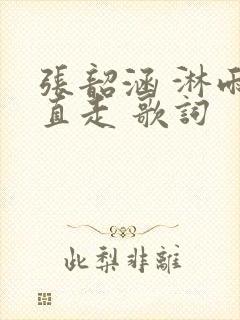 张韶涵 淋雨一直走 歌词