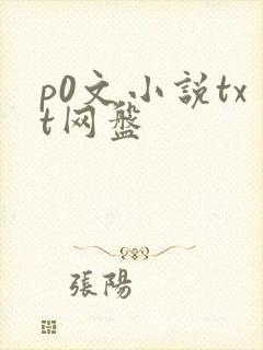 p0文小说txt网盘