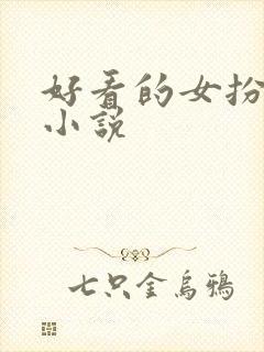 好看的女扮男装小说