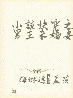 小说快穿之我是男主未婚妻