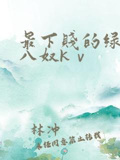 最下贱的绿帽王八奴kⅴ