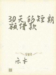 30天的短期小额借款
