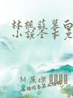 林枫苏慕白穿越小说全本免费阅读最新