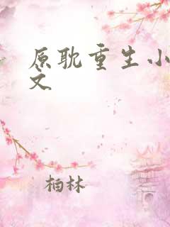 原耽重生小说推文