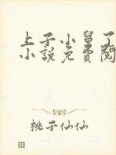 上子小舅了老婆小说免费阅读