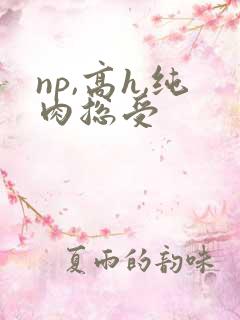 np,高h,纯肉总受