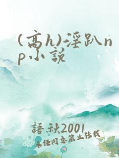 (高h)淫趴np小说