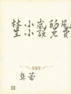 林小岚的风流人生小说免费阅读