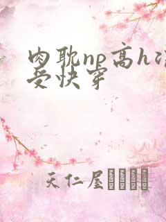 肉耽np高h浪受快穿