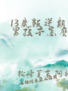 13岁叛逆期的男孩子怎么去引导