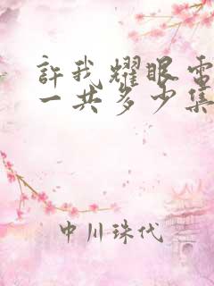 许我耀眼电视剧一共多少集啊