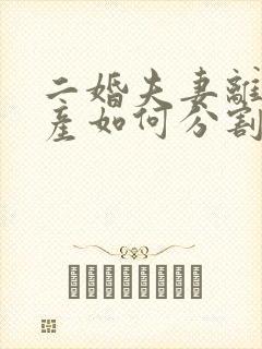 二婚夫妻离婚财产如何分割