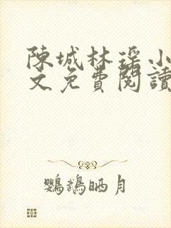 陈城林瑶小说全文免费阅读无弹窗