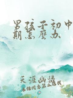 男孩子初中叛逆期怎么办