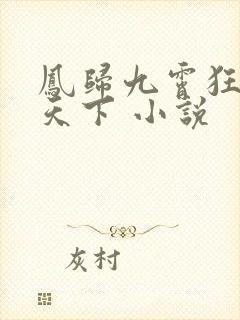 凤归九霄狂妃逆天下 小说