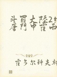 斗罗大陆2绝世唐门中霍雨浩