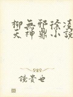 柳无邪徐凌雪吞天神鼎小说在线阅读