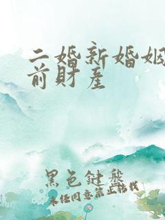 二婚新婚姻法婚前财产