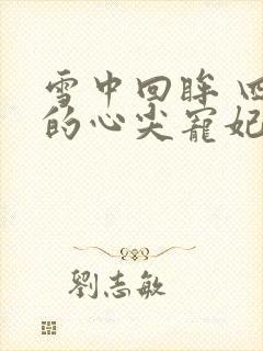 雪中回眸 四爷的心尖宠妃