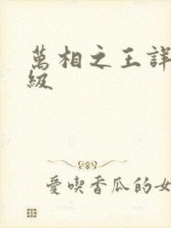 万相之王详细等级