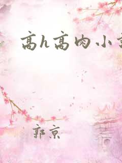 高h高肉小说