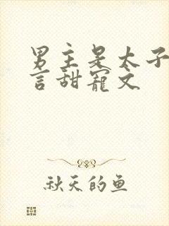 男主是太子的古言甜宠文