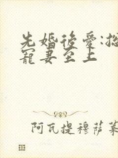 先婚后爱:总裁宠妻至上