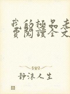 我的极品老婆免费阅读全文小说