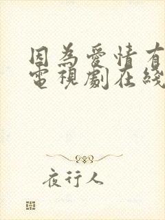 因为爱情有幸福电视剧在线