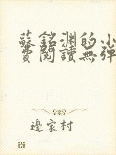 苏铭渊的小说免费阅读无弹窗全文