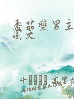 番茄双男主娱乐圈文