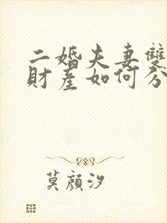 二婚夫妻双方的财产如何分割