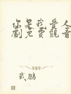 你是我爱人电视剧免费观看