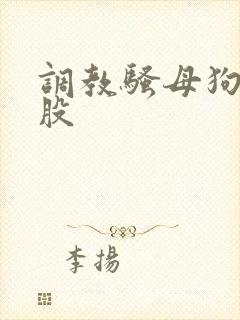 调教骚母狗打屁股