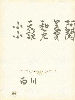 小天和吴阿姨的小说免费阅读