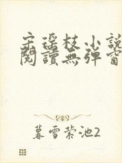 宋瑶枝小说免费阅读无弹窗最新章节