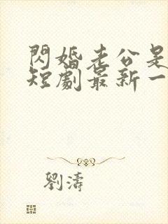 闪婚老公是总裁短剧最新一集