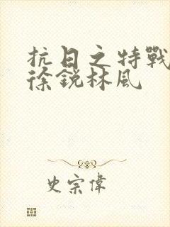 抗日之特战兵王徐锐林风