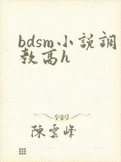 bdsm小说调教高h