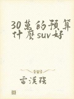 30万的预算买什么suv好