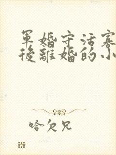 军婚守活寡重生后离婚的小说