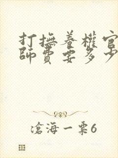 打抚养权官司律师费要多少