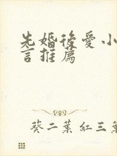 先婚后爱小说古言推荐