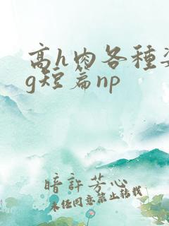 高h肉各种姿势g短篇np
