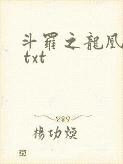 斗罗之龙凰传说 txt
