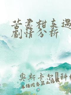 苦尽柑来遇见你剧情分析